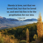 angustifolia's Avatar