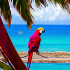 Helena12479's Avatar